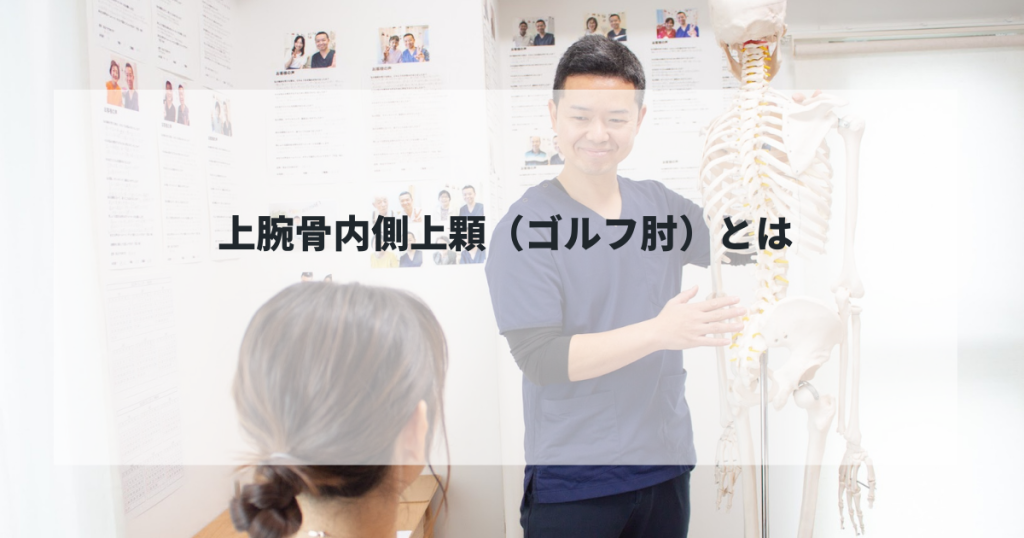 上腕骨内側上顆（ゴルフ肘）とは！